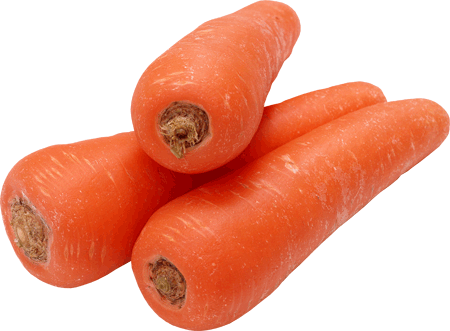 Польза и полезные свойства моркови