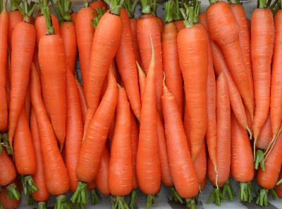 Польза и вред моркови: вывод