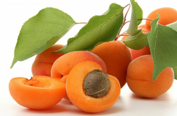 Польза и вред абрикоса