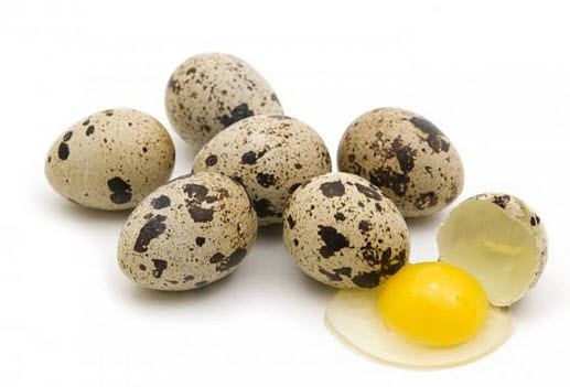 Польза перепелиных яиц для женщин