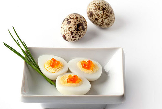 Польза перепелиных яиц при похудении (при диете)
